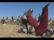 Viking fight 2006